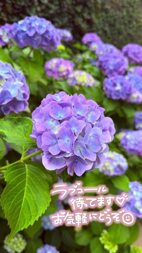 かやのさん　写メ画像